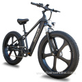 Electric Fat Tire Bike for sand